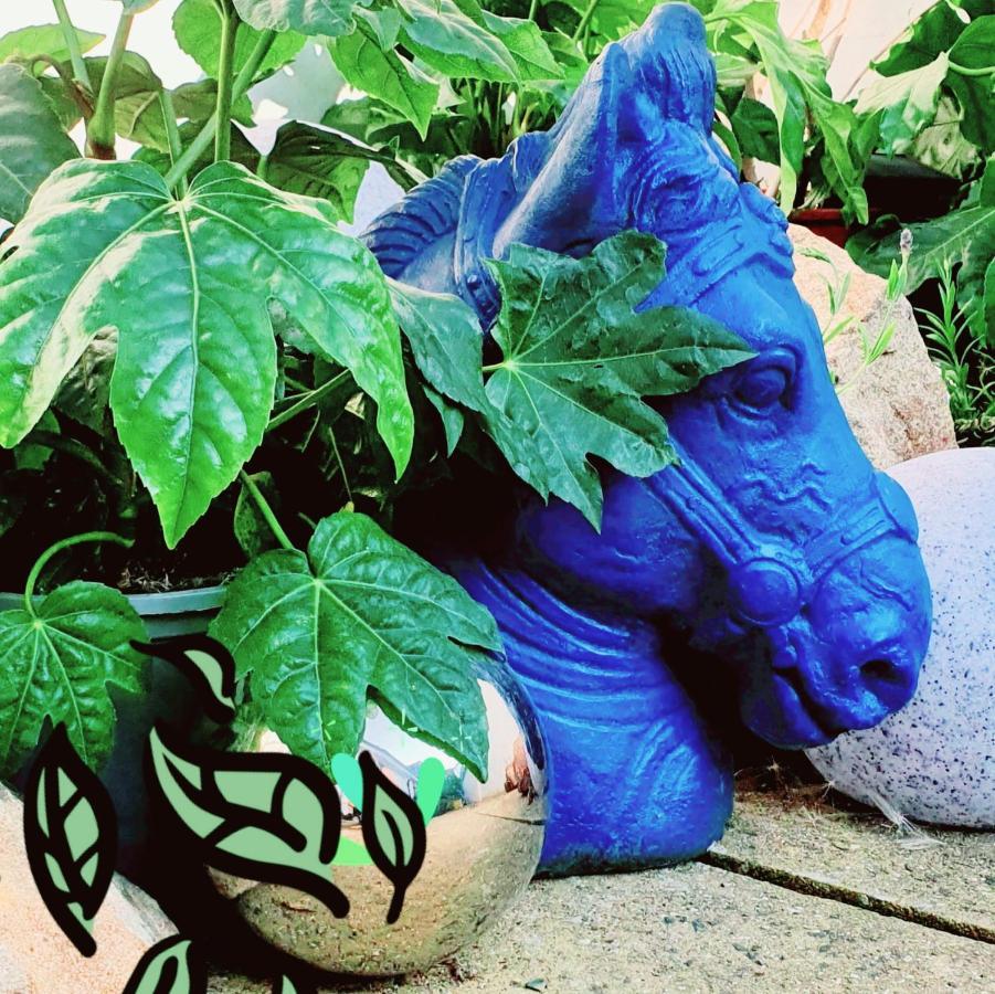 The New Blue Horse Suite At The Grumpy Schnauzer B&B Luxury Private Indoor Hot Tub Breakfast In Bed Airdrie Exterior foto